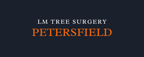 LM Tree Surgery Petersfield